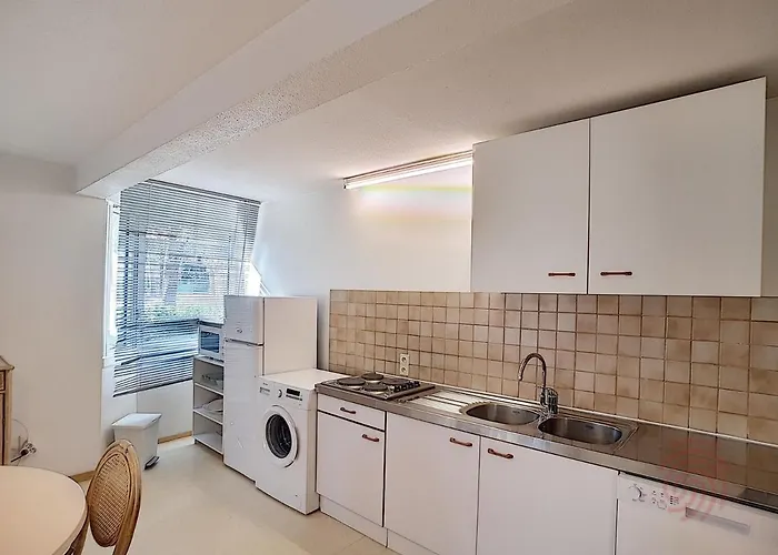 Apartamento Lamalo-les-bains: F2, Terrasse, 50m Des Thermes, Animaux Acceptes - Fr-1-451-23 Lamalou-les-Bains