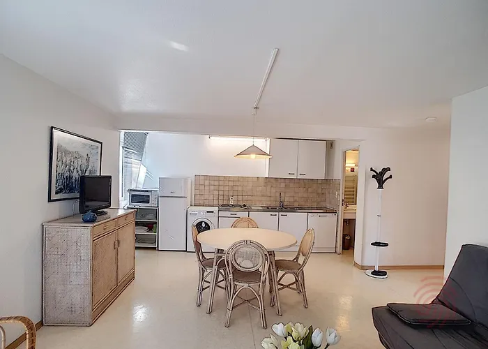 Lamalo-les-bains: F2, Terrasse, 50m Des Thermes, Animaux Acceptes - Fr-1-451-23 Apartamento *